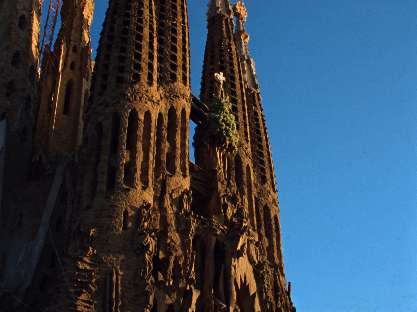 Sagrada Família basilica spires against a blue sky in Barcelona