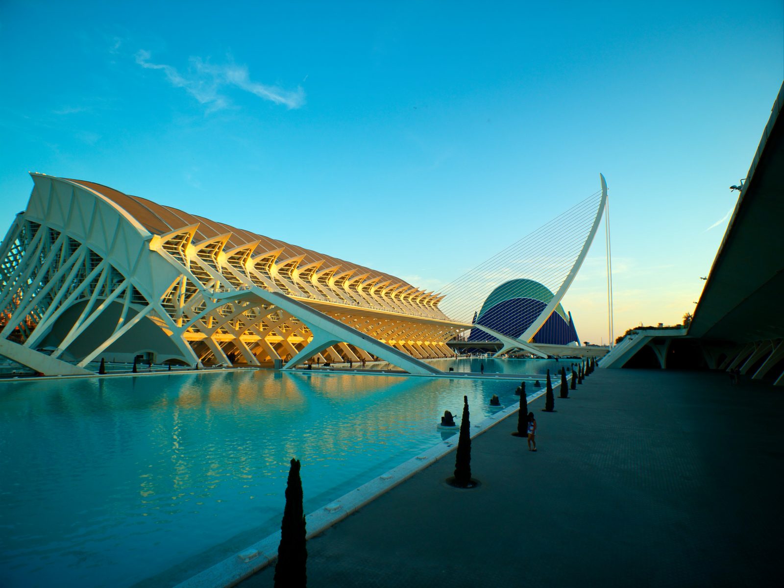 Futuristic white Calatrava architecture at the City of Arts and Sciences in Valencia